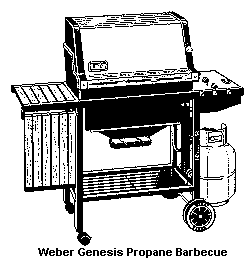 Weber Genesis Progane Barbecue